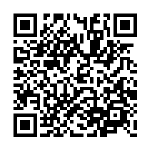 一招便将大贤者级别的超级强者给拍的飞灰湮灭二维码生成