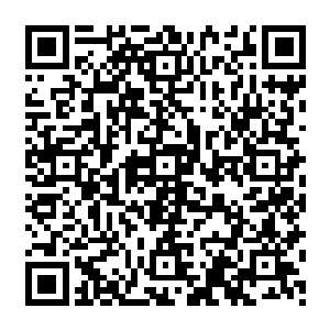 一拳接一拳 每一次都传來破碎的咔嚓之声 不过都在眨眼之间被那两个老道士给修复二维码生成