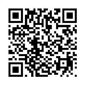 一拳轰出迎向了那个散修轰出的一拳二维码生成