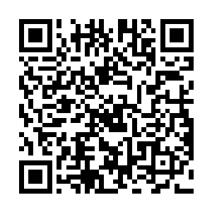 一提起跟夏宁在北戴河一起游玩时的场景李薰就掉眼泪二维码生成