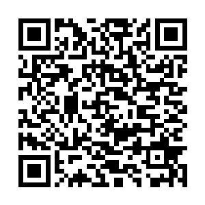 一支五百人的潼关精骑护送一架马车来到凉州城外二维码生成