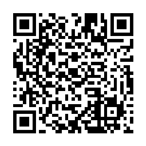 一支大约有三十來人的队伍正向着剑尘几人这里走來二维码生成