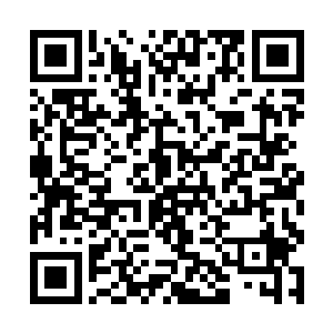 一支大约有八千余人的精锐轻车快马猝是冲出了城外二维码生成