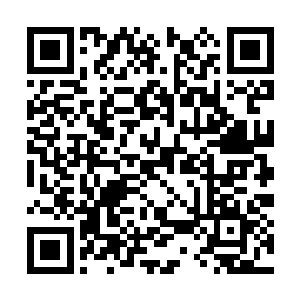 一支完全由白角人组成的游勇小队从他们身边走过二维码生成