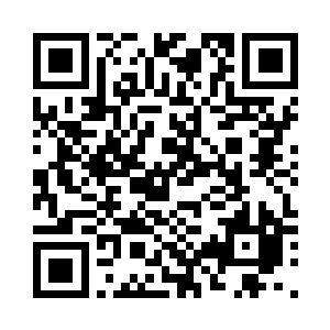 一支支灵活的腿影在空中不停的闪现二维码生成