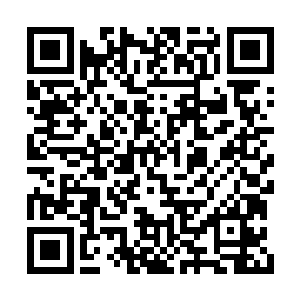 一支是北方雷曼公国刚刚平定叛乱的国王护卫军二维码生成