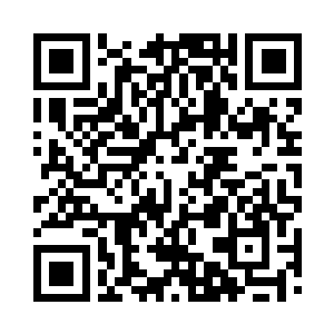 一支由宝石湾各大贵族抽掉出来组成的大军二维码生成