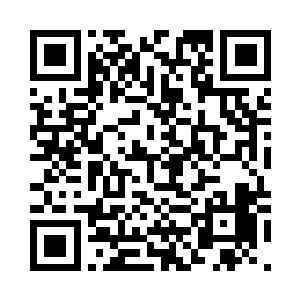 一支非常漂亮的军团渐渐现出了轮廓二维码生成