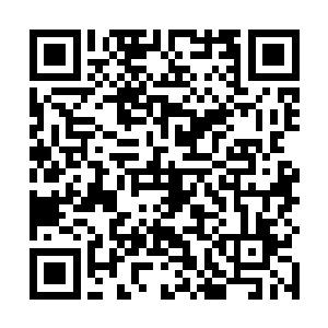 一方面又顾虑着来势汹汹的新专辑随时都可能终结记录二维码生成