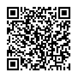 一方面很多人没有想到林锐等人并不是强尼罗顿的人二维码生成