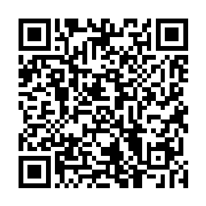 一方面是因为他感觉到唐胖子和他的父母难得的聚在一起二维码生成
