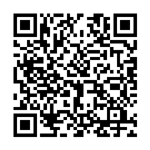 一方面是因为龙傲天服用的玄黄凝魂果年份十分的恐怖二维码生成