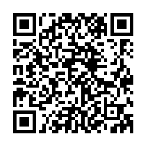 一方面是她后边的灰色资本可能的确需要通过一个渠道来漂白二维码生成