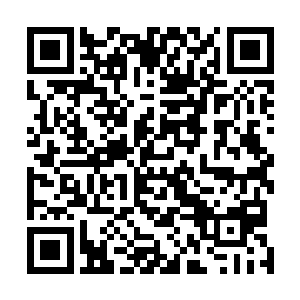 一方面是市属企业的文艺表演队伍中的确有一些优秀人才二维码生成