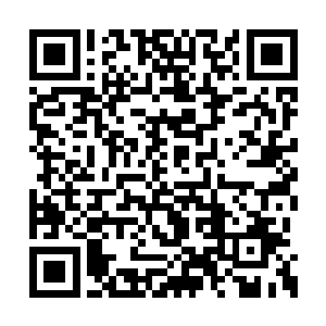 一方面是这些人对于圣元果原本就没有什么心思二维码生成