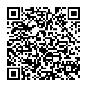 一旁兰鑫仙人见状也硬着头皮伸手把眼神凉飕飕的陌星子捧了起来二维码生成