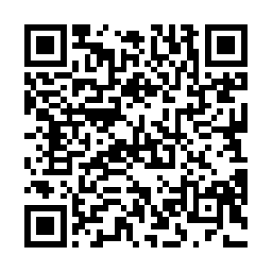 一旁早就听得目瞪口呆的十三公主更是惊悚的全身的汗二维码生成