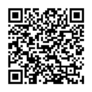 一旁的中年测验员漠然的脸庞上罕见的露出了一丝笑意二维码生成