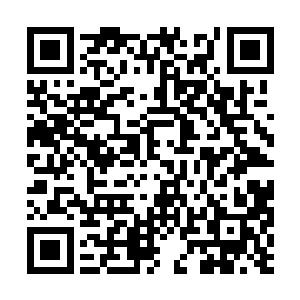 一旁的丽珠妹子看到罗碧玉和纳甲土尸眉来眼去的二维码生成