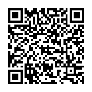 一旁的凉风听到秦宇的话神情反倒是变得振奋起来二维码生成