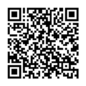 一旁的几个男人一下子就看出了君无极心中的小九九二维码生成