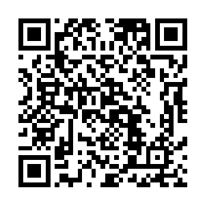 一旁的嬴政帝势力的太子林和九鼎门的太子颤抖到一起之后二维码生成