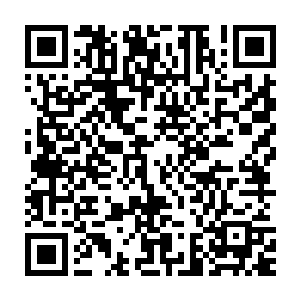 一旁的小混混还有几大战将看着这场面一个个也是颤颤巍巍的看着苏凡二维码生成