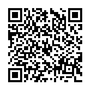 一旁的工作人员把武器交给他们比试就正式开始了二维码生成