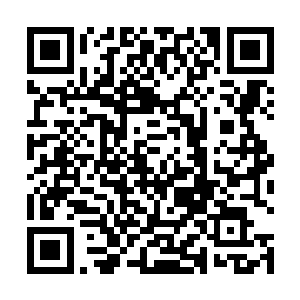 一旁的李月茹早就已经有些受不了这个小师叔的行为了二维码生成