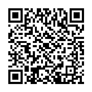 一旁的楚夫人和林夫人也都紧张兮兮的望着苏落二维码生成