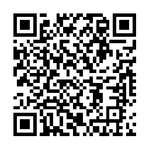 一旁的楚旬等人也纷纷为那青丘一脉的狐狸而感到默哀二维码生成