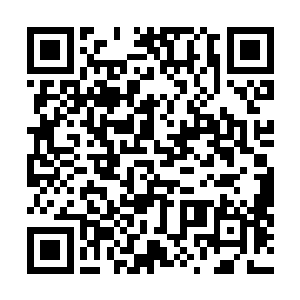 一旁的毓贤早就被十来名凶神恶煞般的苍狼给吓破了胆子二维码生成