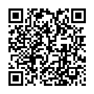一旁许久都没吭声的桂田仙人也是讶异看着他们二维码生成