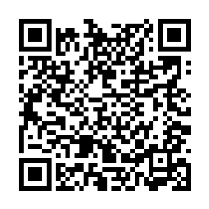 一旁集结多时的白银教会守护骑士们纷纷抽出宝剑二维码生成
