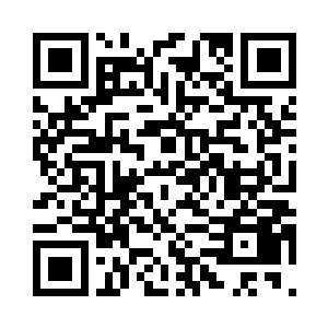 一旁霍淼淼一听到柳青提出来的赌约二维码生成