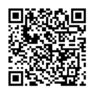 一旁饶有趣味打量众多宠物的血姬冷似有所查的舔舔嘴角二维码生成