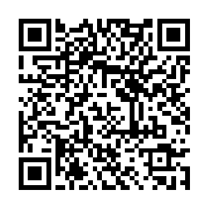 一日比一日顺眼……尤其是在收到沈家帖子的时候二维码生成