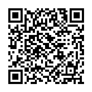 一旦他加入其中厉王府还真的会变成一个屠宰场二维码生成