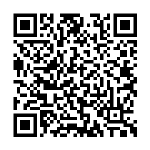 一旦南诏王室知晓那个阴性百毒不侵之人是紫晴二维码生成