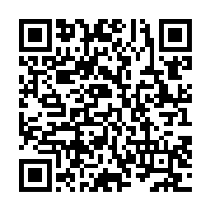 一旦大姐的商业机密和投资策划这些东西被泄露出去半点二维码生成