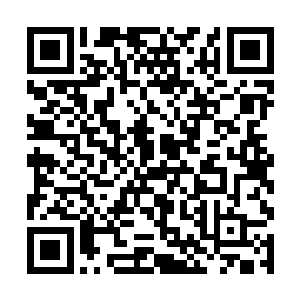 一旦当一个拥有绝对尊贵地位的人发表了自己的看法二维码生成