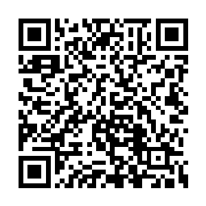 一旦我被发现他们就会放火来转移侍卫的注意力二维码生成