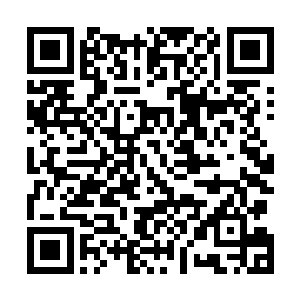 一旦我觉得无法再将吸收入体内的混沌之气力量为己所用二维码生成