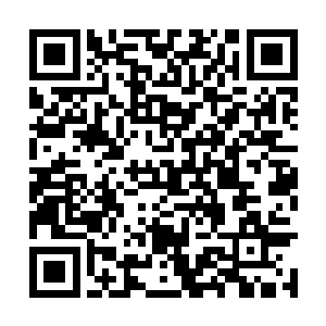 一旦早早表现出他要在这事情上和蔡京一决的态势二维码生成