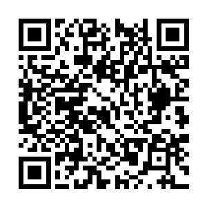 一旦有某种穷凶极恶的外来物种闯入这个生态系统二维码生成