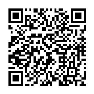 一旦洛老头离开洛家前来明山那就一定会带来大批的精英高手二维码生成