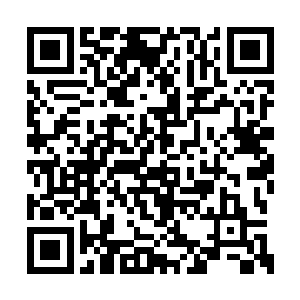 一旦用这种力量杀生那么她的寿命也会跟着缩减二维码生成