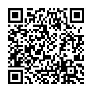一旦空间乱流发展成空间风暴……那可是连紫府仙台都能撕碎的二维码生成