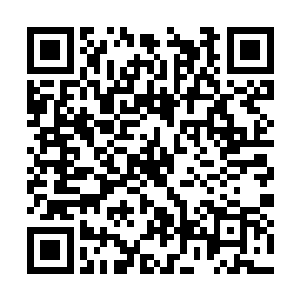 一旦等他彻底掌握了这些元素力量和虎魄刀的用法二维码生成