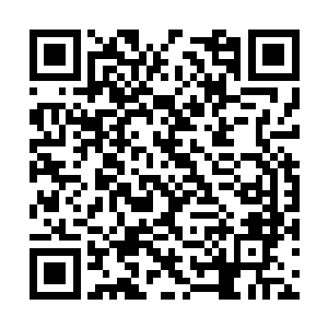 一旦等四海宫彻底吸收消化了这片地盘和大量资源二维码生成